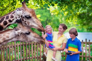 Family and giraffe in zoo