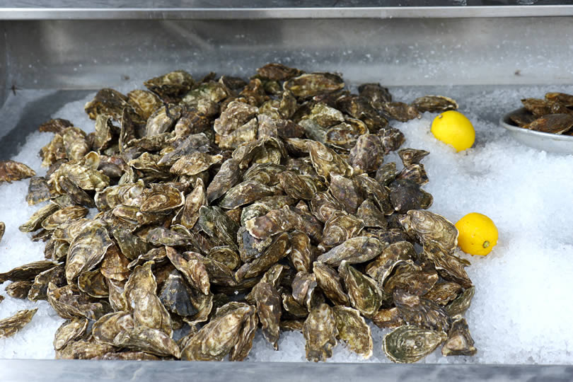 Oysters in Whitstable England